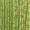 Бамбук